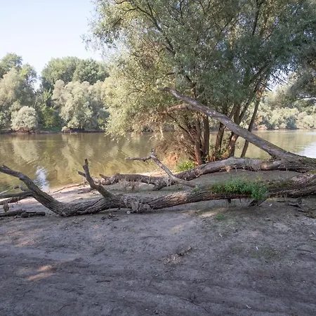 Schoene 2 Zimmerwohnung Mit Uhd-tv, Grossem Balkon Und Haengematte