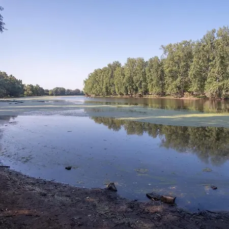 Apartman Schoene 2 Zimmerwohnung Mit Uhd-tv, Grossem Balkon Und Haengematte Lampertheim
