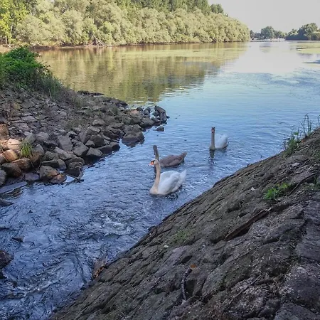 Schoene 2 Zimmerwohnung Mit Uhd-tv, Grossem Balkon Und Haengematte Apartman Lampertheim