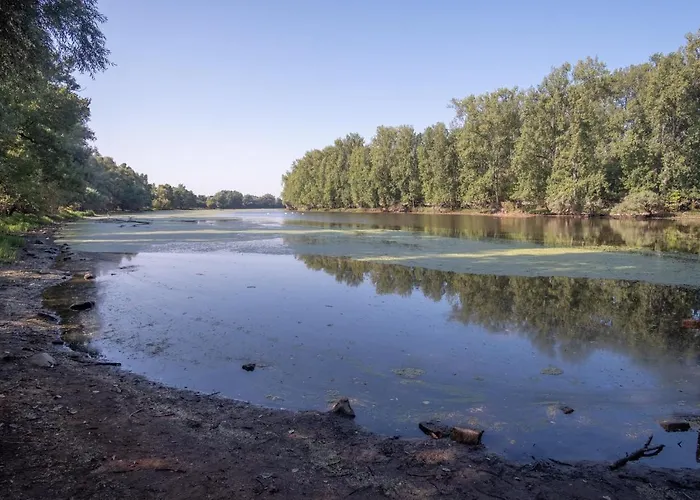 Apartment Schoene 2 Zimmerwohnung Mit Uhd-tv, Grossem Balkon Und Haengematte Lampertheim