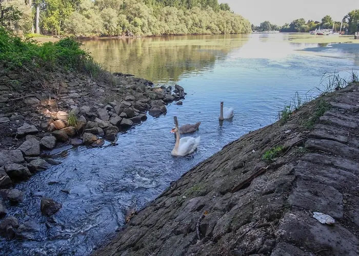 Schoene 2 Zimmerwohnung Mit Uhd-tv, Grossem Balkon Und Haengematte Apartment Lampertheim